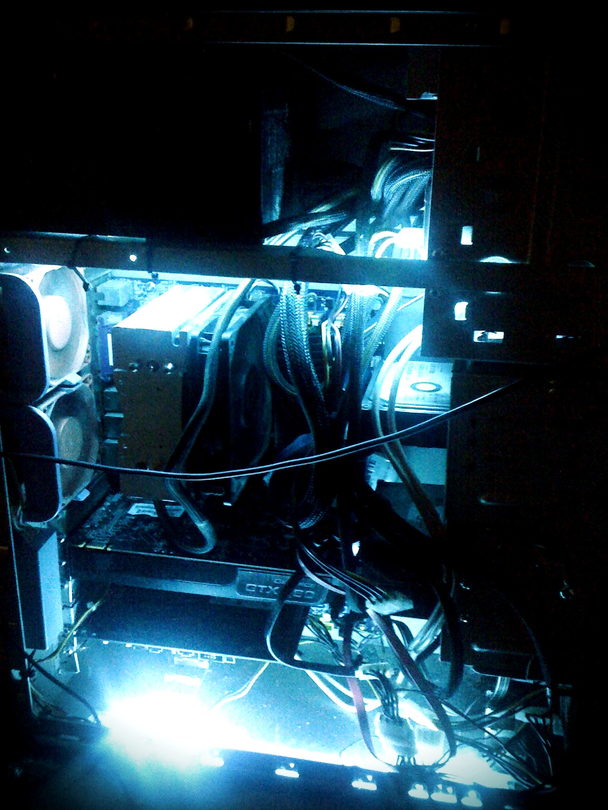 Setup photograph, 2010